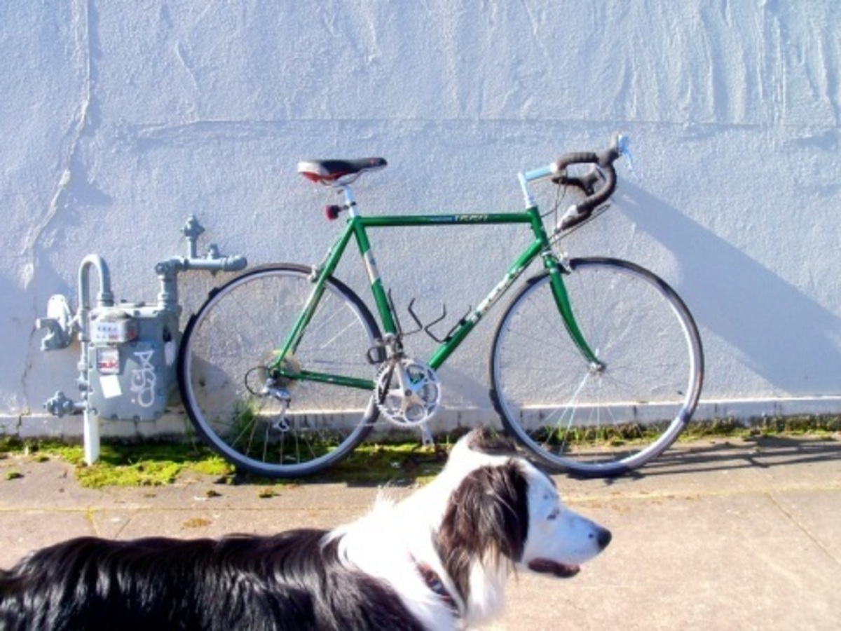 Bike photo