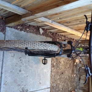 2015 Specialized Rockhopper  Silver or Gray