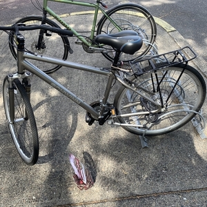Schwinn Silver, gray or bare metal