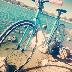 2015 Pure Fix  Blue