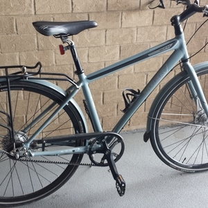 2010 Trek Soho