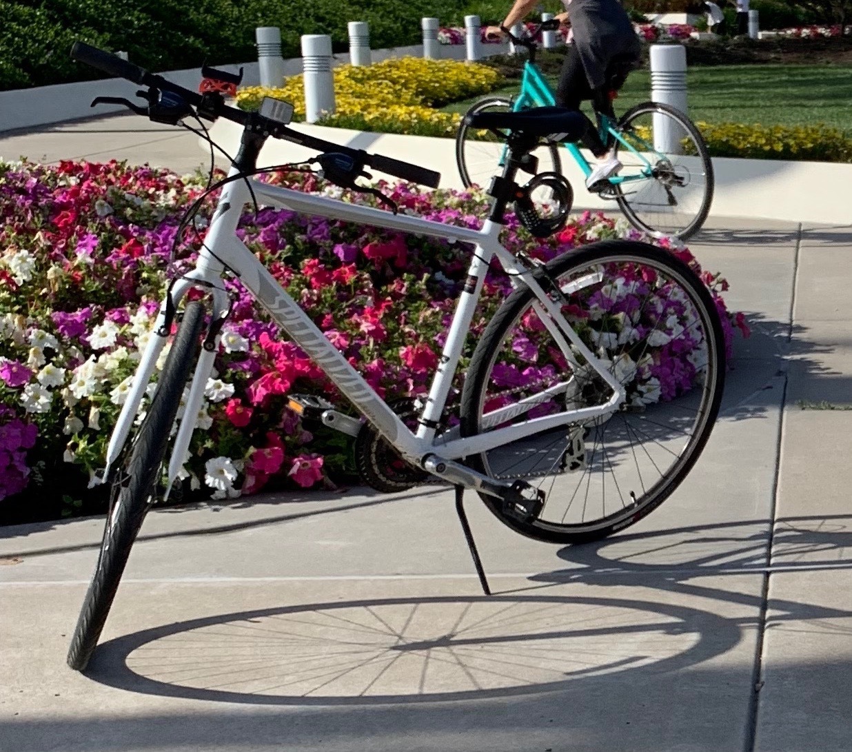 specialized a1 aluminum