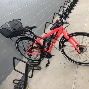 2019 Cannondale Quick Disc 4 Pink
