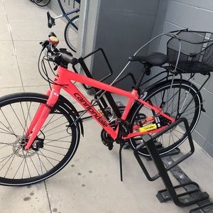 2019 Cannondale Quick Disc 4 Pink