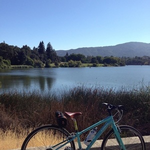 2012 Trek 7.4 FX WSD  Teal