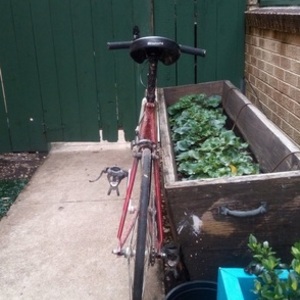 Leader Bikes Red and White