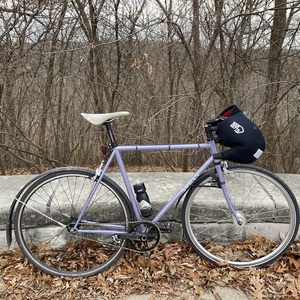 2018 Surly Steamroller Pink and Purple