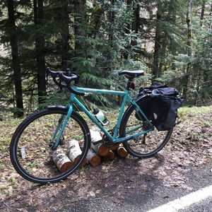 2019 Kona Sutra Blue
