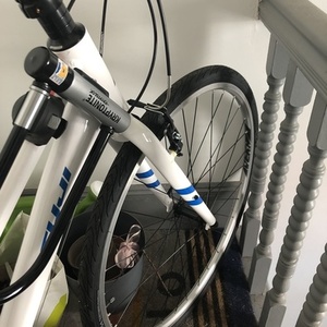 Fuji Absolute 2.0 White and Blue
