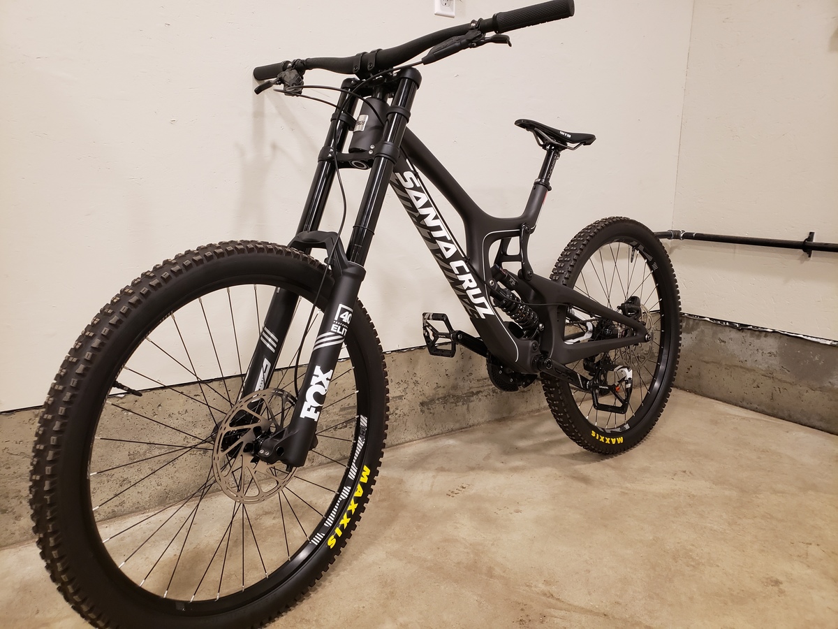 santa cruz v10 large