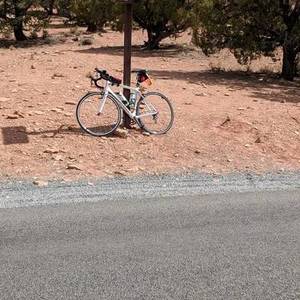 2009 Trek Madone 5.2 White