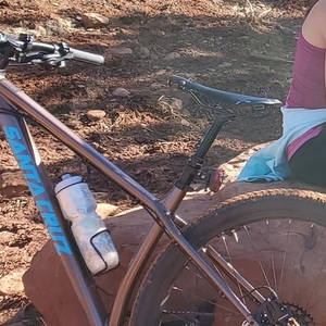 2019 Santa Cruz Chameleon Brown