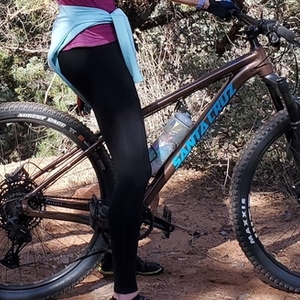 2019 Santa Cruz Chameleon Brown