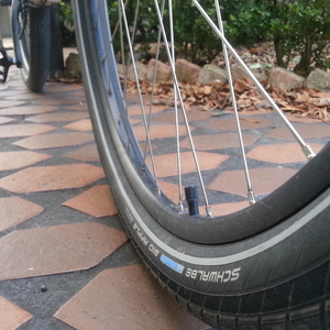 2015 Specialized Rockhopper  White