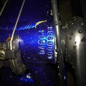 2015 Diamondback Trace Sport Complete Dual Sport Bike  Blue