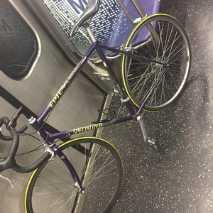 1994 Specialized Epic Comp Purple