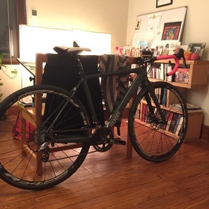 Foundry Cycles Silver, gray or bare metal