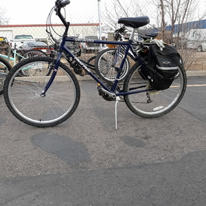 Specialized Blue