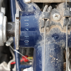 Specialized Blue