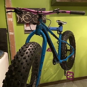 2020 Rocky Mountain Bicycles Blizzard 20 Blue