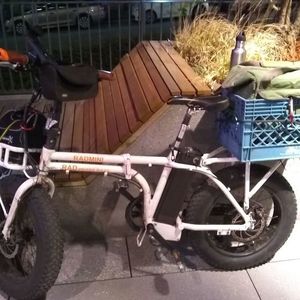 2017 Rad Power Bikes Mini White