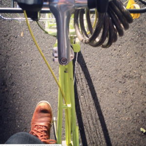 2011 PUBLIC bikes M8i Green