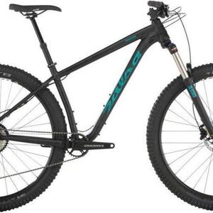 2020 Salsa TimberFrame Black