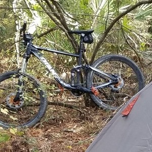 2012 Giant Trance X4 Black and White