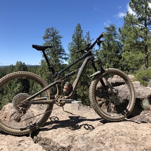 2018 Canyon bicycles Spectral Black