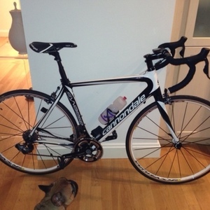 2013 Cannondale Black and White