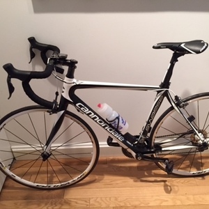 2013 Cannondale Black and White