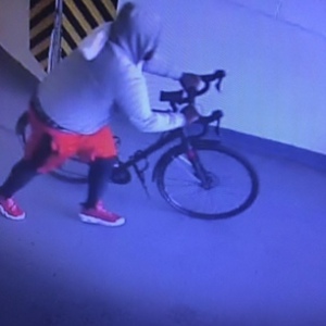 2018 Trek Checkpoint ALR 5 Silver, gray or bare metal