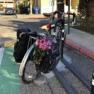 2012 Surly Long Haul Trucker Black
