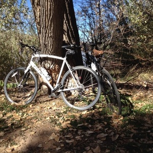 2012 Fuji Absolute 1.0 White