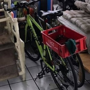 2016 Trek Green