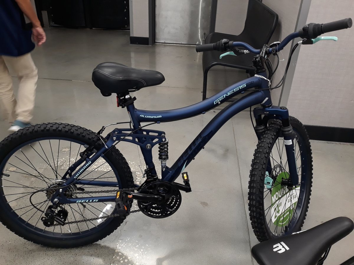 Stolen 2019 Genesis Kent