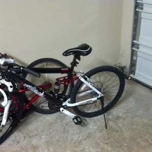 Genesis 000167519268 Black and White