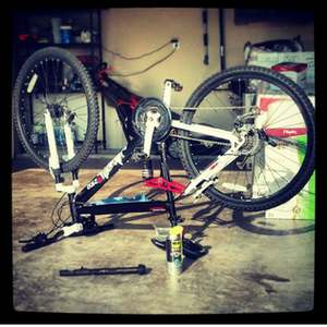 Genesis 000167519268 Black and White