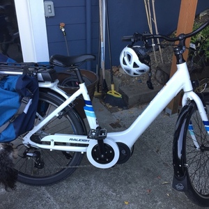 2018 Raleigh Sprite - Electric White, Blue, and Stickers tape or other cover-up