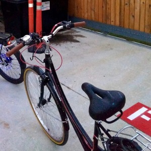 2019 Retrospec (Step through steel frame) BEAUMONT 7-Speed Lady's bike Black