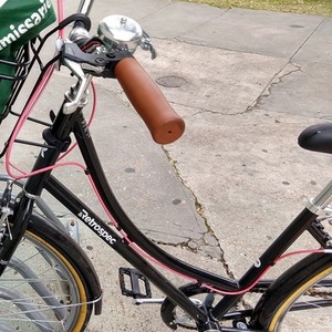 2019 Retrospec (Step through steel frame) BEAUMONT 7-Speed Lady's bike Black
