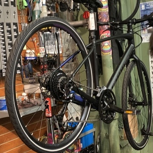 2019 Specialized Women’s SL Black and Purple