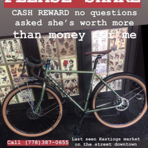 2017 Masi Randonneur Green