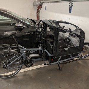 2020 Riese und Müller Load 75 Silver, gray or bare metal