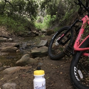 2018 Salsa TIMBERJACK SLX 27.5+ Pink