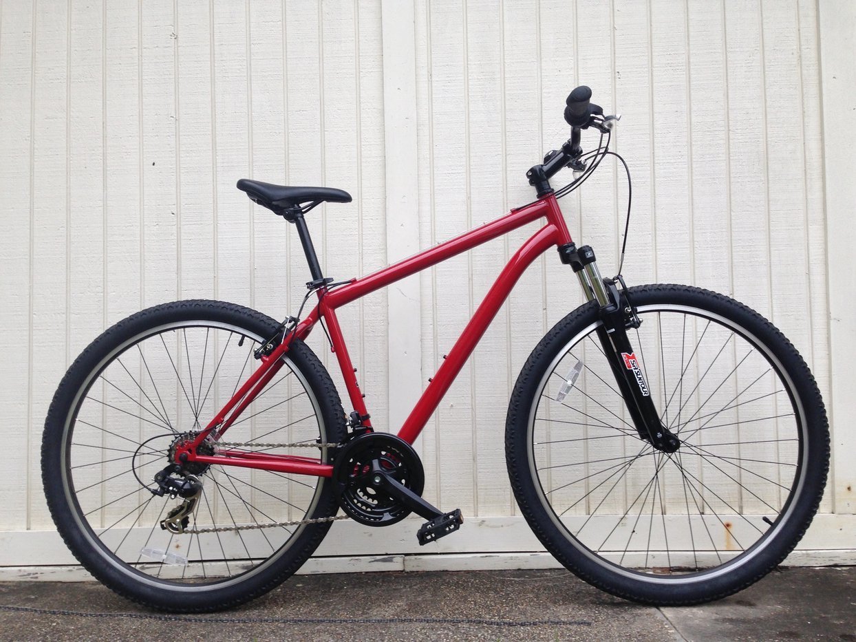 nashbar 29er single speed