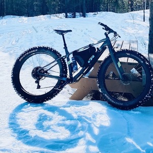 2015 Trek Farley 9.6 19.5 Silver, gray or bare metal
