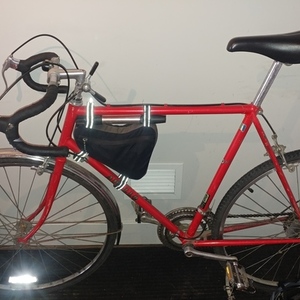 Apollo Red