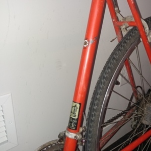 Apollo Red