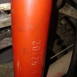 Apollo Red